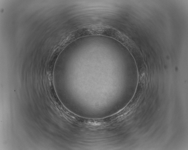 X0000063530772200601201457