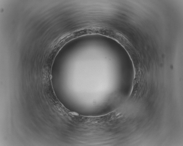 X0000063530773200601201457