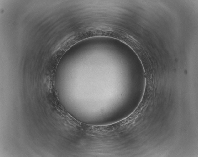 X0000063530774200601201457