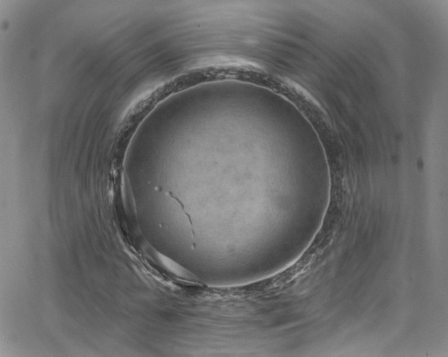 X0000063530775200601201457