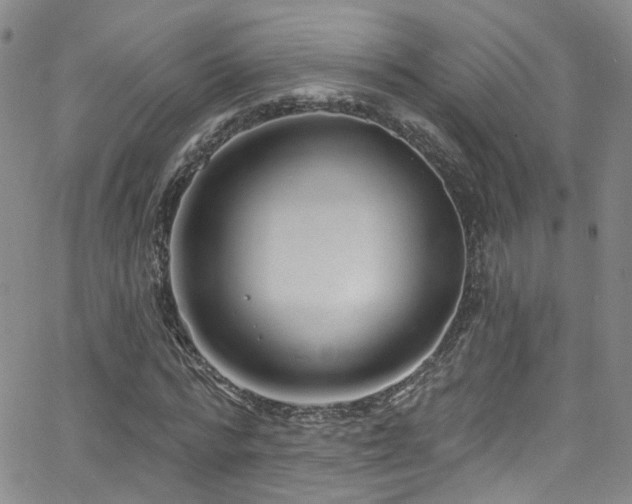 X0000063530776200601201457