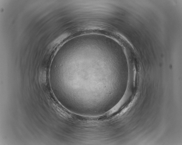 X0000063530777200601201457