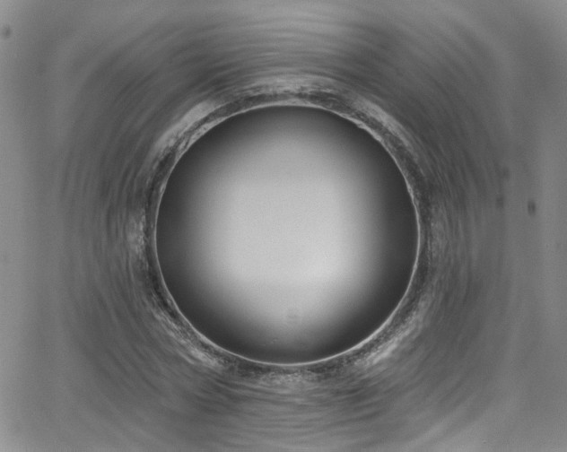 X0000063530778200601201457