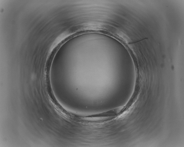 X0000063530779200601201457