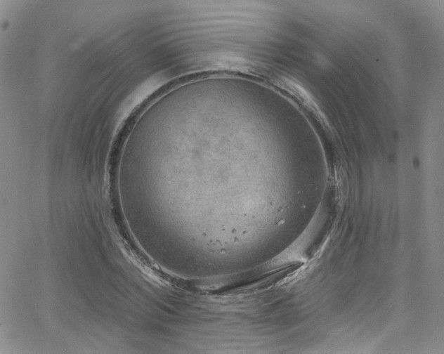 X0000063530780200601201457