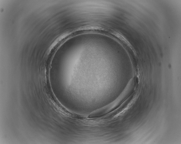 X0000063530781200601201457