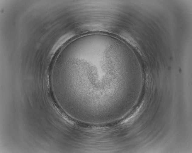 X0000063530782200601201457