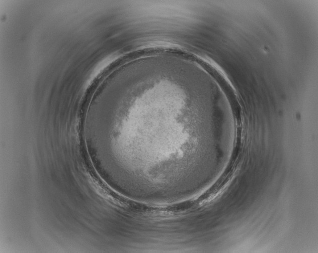 X0000063530783200601201457