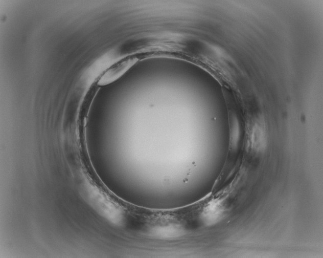 X0000063530784200601201457