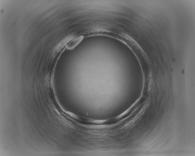 X0000063530785200601201457