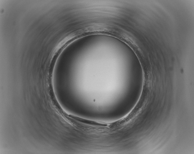 X0000063530786200601201457