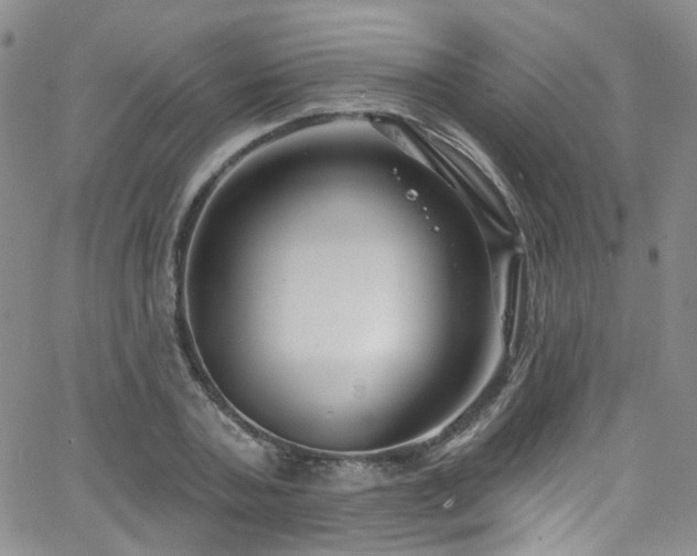 X0000063530787200601201457