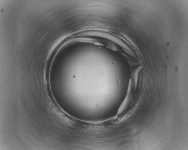 X0000063530788200601201457