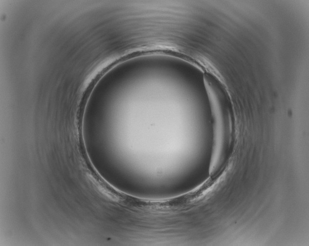 X0000063530789200601201457