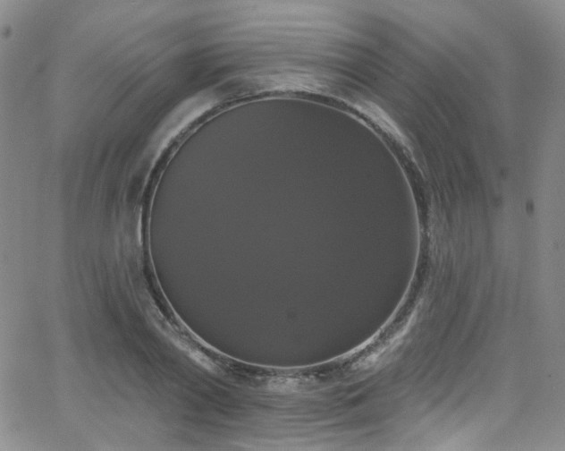 X0000063530790200601201457