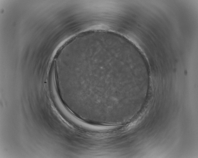 X0000063530791200601201457