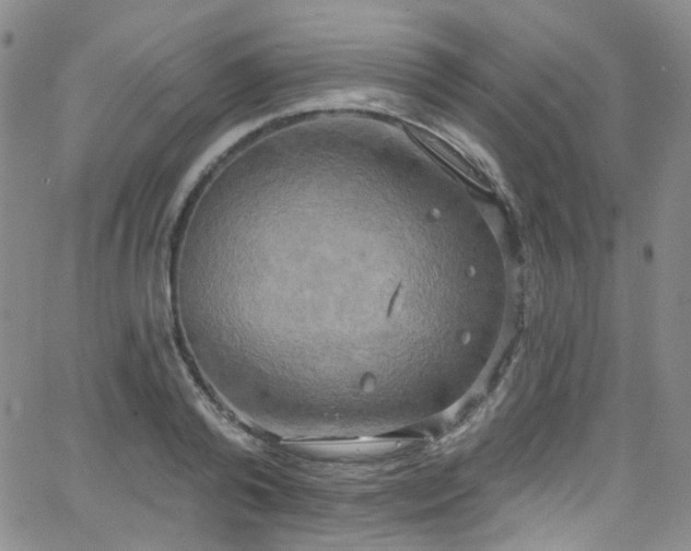 X0000063530792200601201457