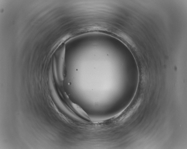 X0000063530793200601201457