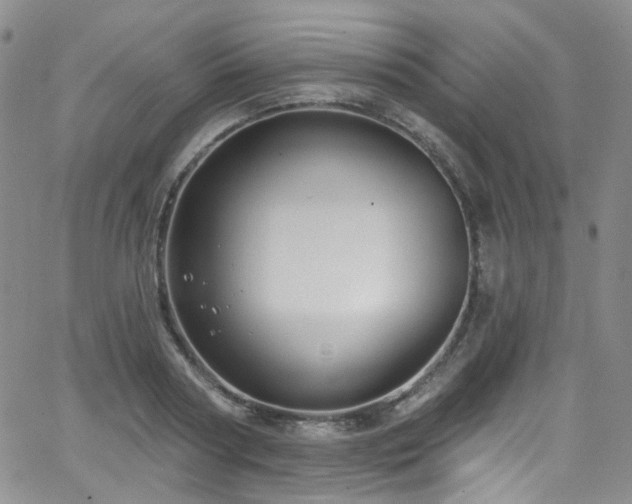 X0000063530794200601201457