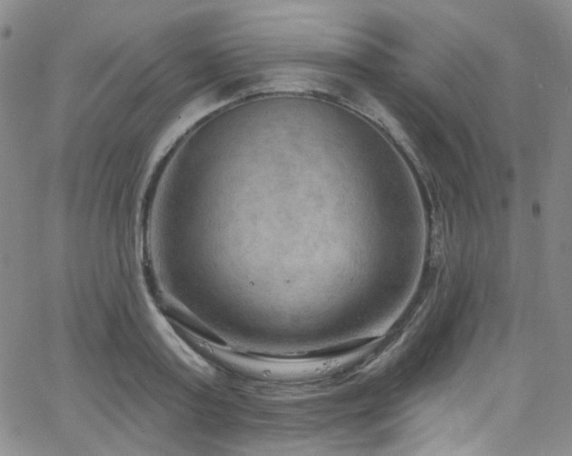 X0000063530795200601201457