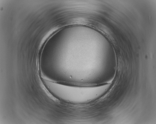 X0000063530796200601201457