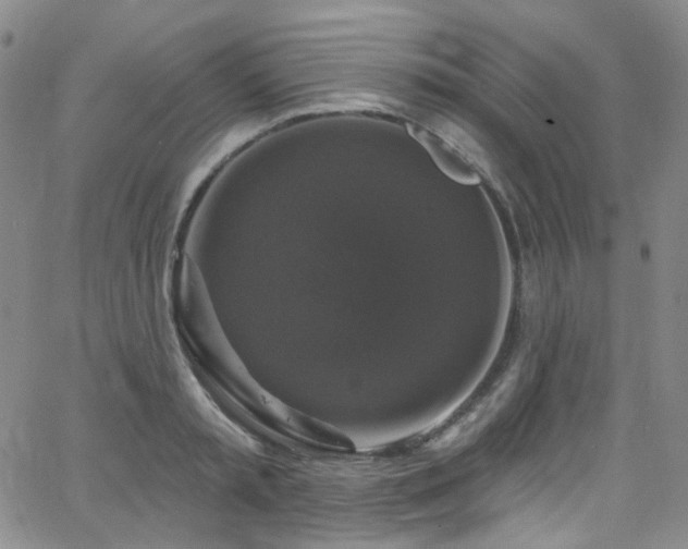 X0000063530797200601201457