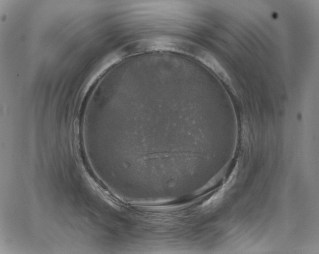 X0000063530798200601201457