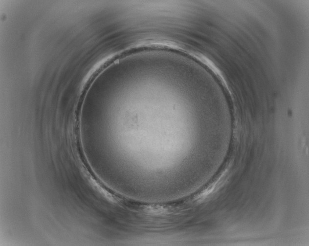 X0000063530799200601201457