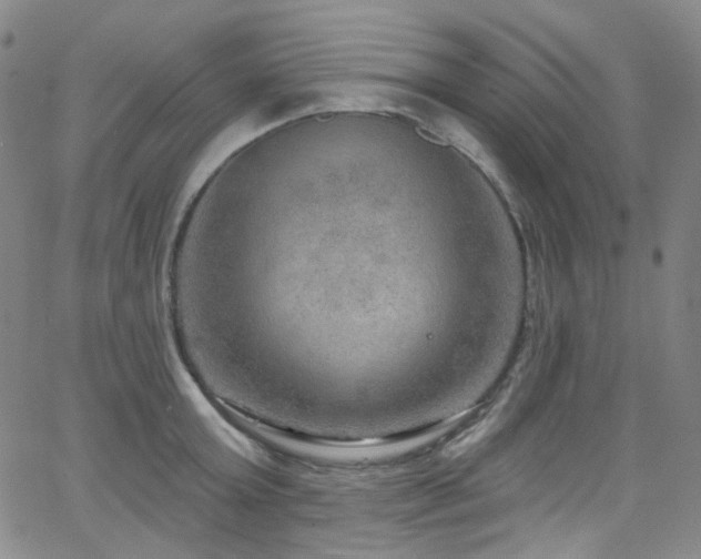 X0000063530803200601201457