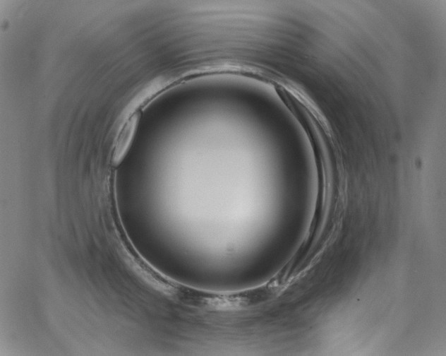 X0000063530805200601201457