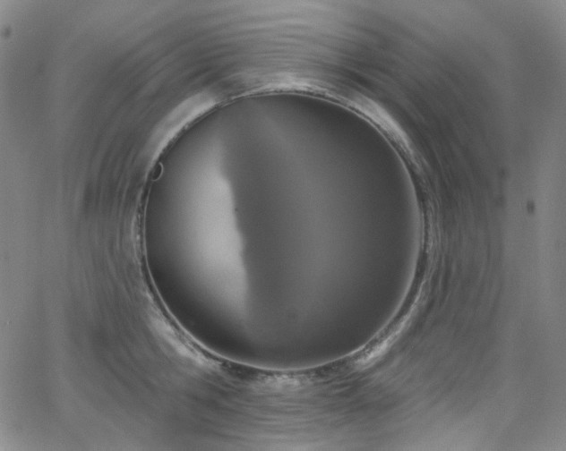 X0000063530806200601201457