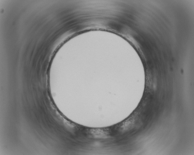 X0000063530807200601201457