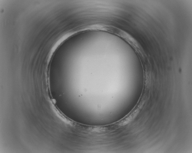 X0000063530808200601201457