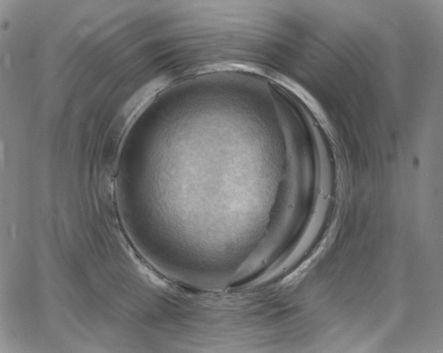 X0000063530809200601201457