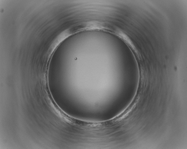 X0000063530810200601201457