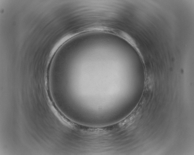 X0000063530811200601201457