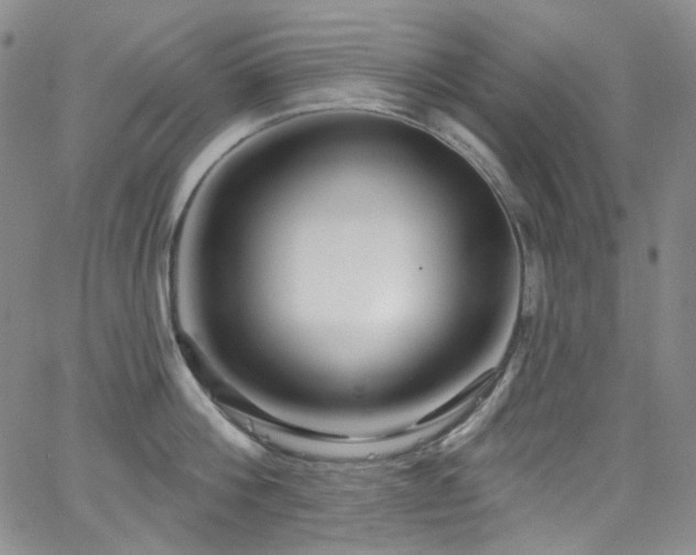 X0000063530812200601201457