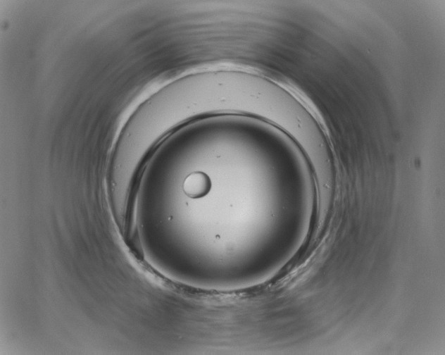 X0000063530813200601201457