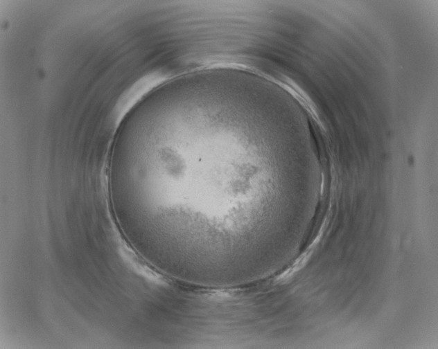 X0000063530814200601201456