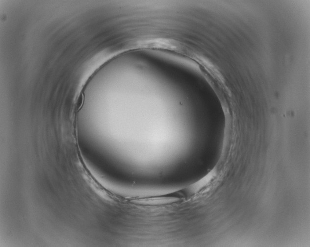 X0000063530816200601201456