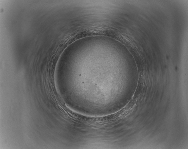 X0000063530817200601201456