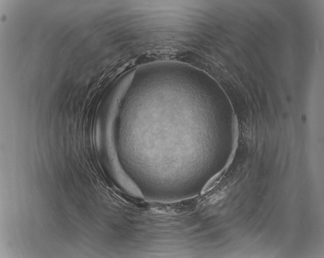 X0000063530818200601201456