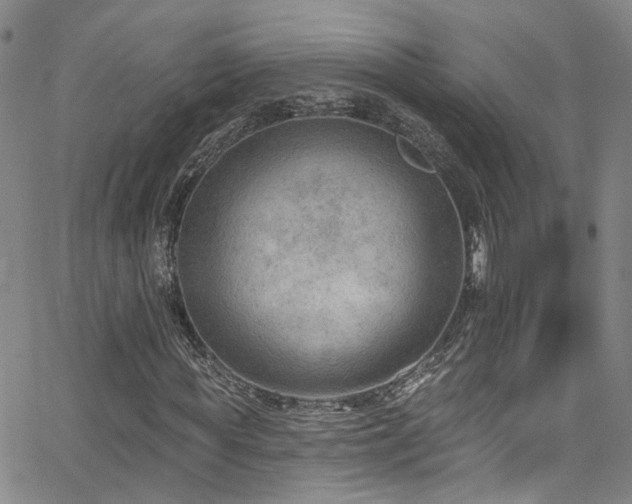 X0000063530819200601201456