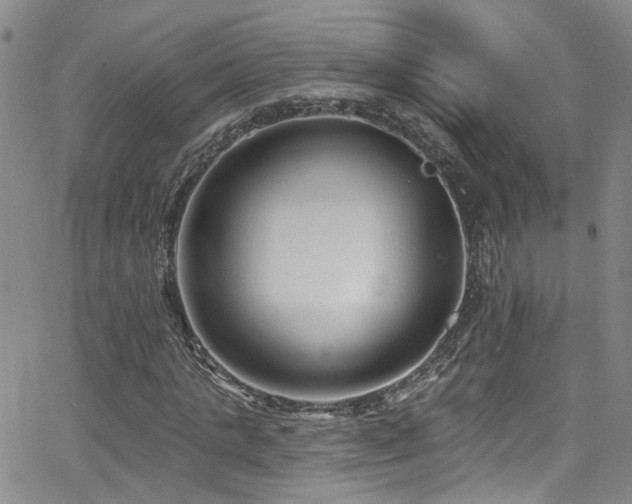 X0000063530821200601201456