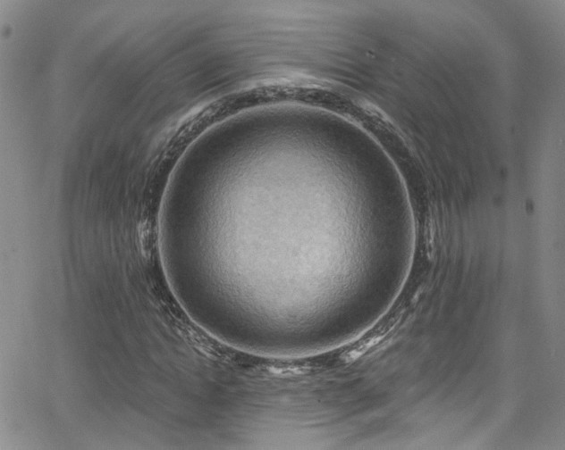 X0000063530822200601201456