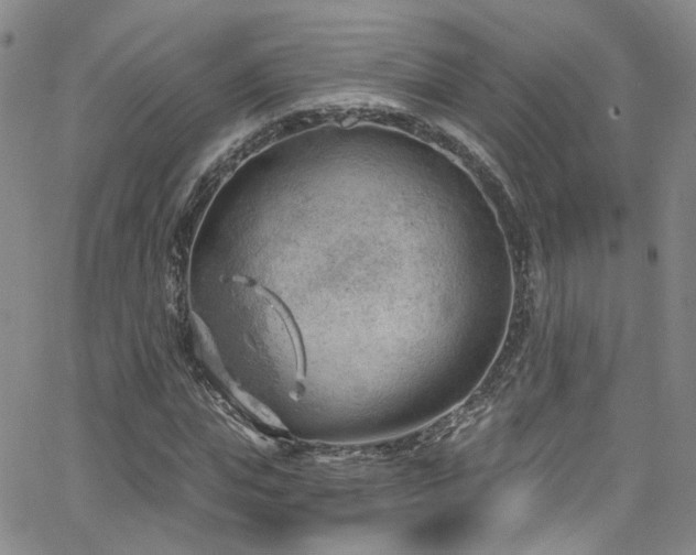 X0000063530823200601201456