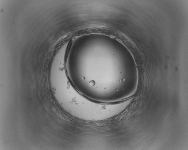 X0000063530824200601201456