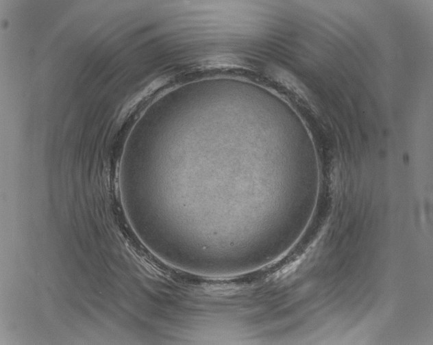 X0000063530825200601201456