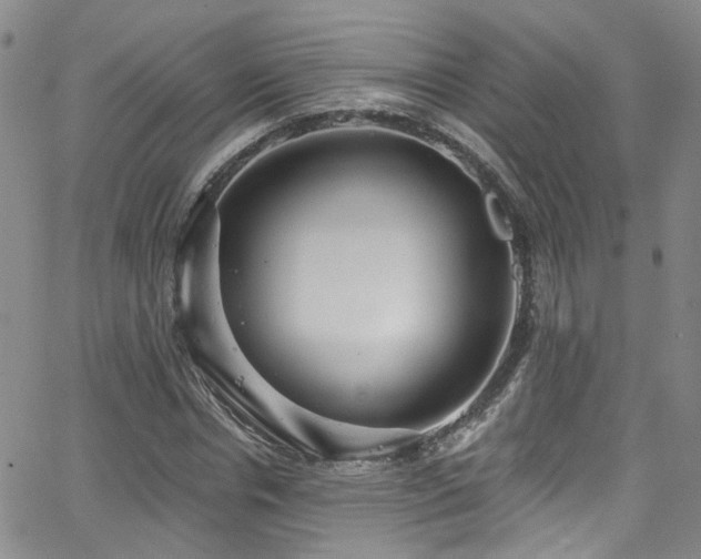 X0000063530826200601201456