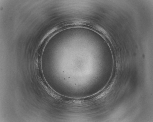 X0000063530827200601201456